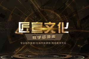 哑光和银色边缘的三维logo标志演绎AE工程